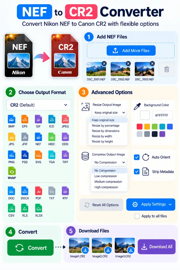 Features of NEF to CR2 Converter